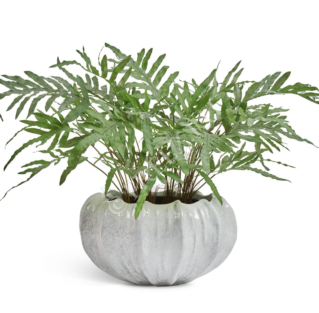 Кашпо TREEZ Effectory - Aura - Низкая Design-чаша - Жемчужный лак