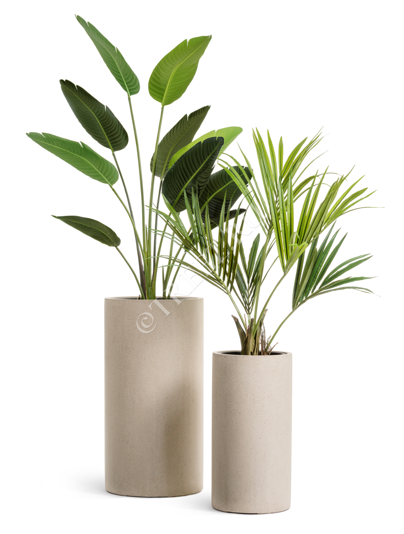 Кашпо TREEZ Effectory - Beton - Высокий цилиндр - Белый песок