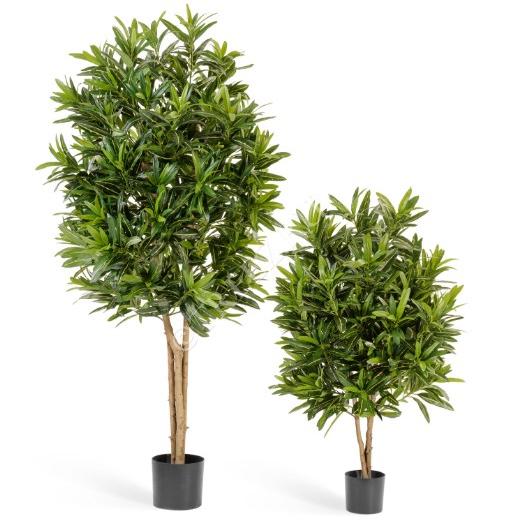 Кротон Голдфингер Treez 125*30см