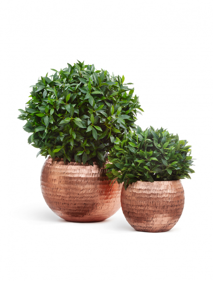 Кашпо TREEZ Effectory Metal Полусфера чеканная розовая медь 60 см