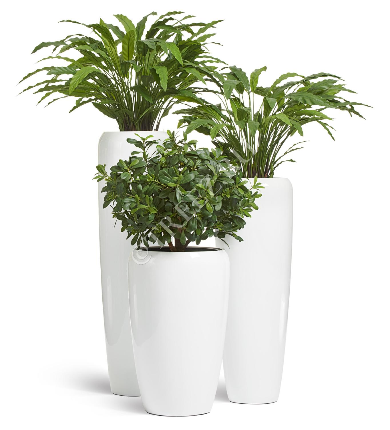 Кашпо TREEZ Effectory - Gloss - Высокий конус Design - Белый глянцевый лак