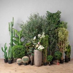 Искусственные растения