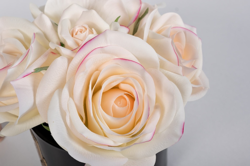 Диффузор Five Rose Pink, спрей Pink Peonies 10мл в уп. 96СN-RB62