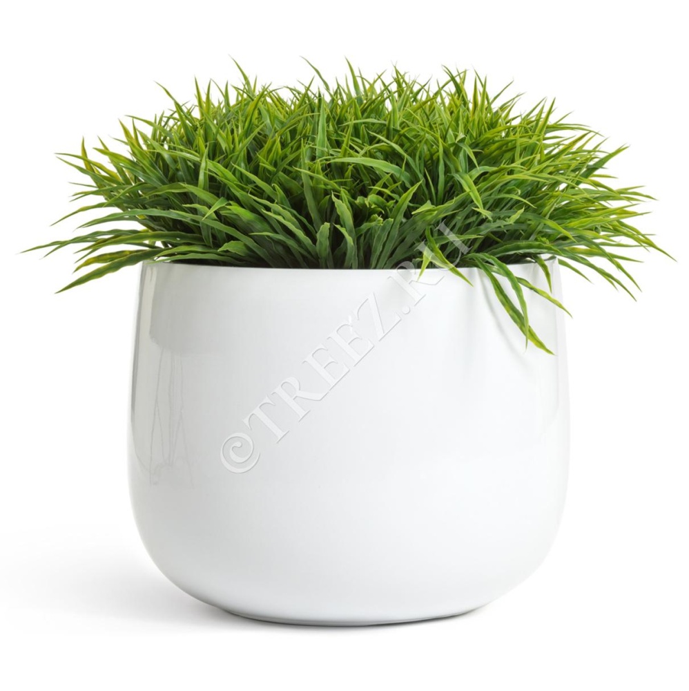 Кашпо TREEZ Effectory - Gloss - Низкая широкая чаша - Белый глянцевый лак