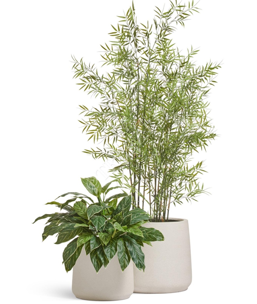 Кашпо TREEZ ERGO - Fine Rock - Чаша Cone - Белый камень